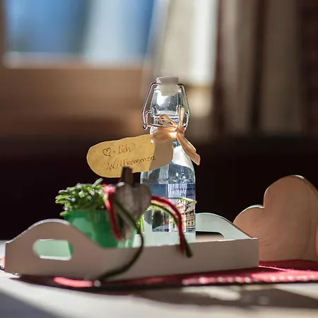 Alpstuga Hoamatgfuehl - By Mynests Haus im Ennstal