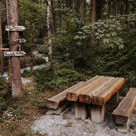 Hoamatgfuehl - By Mynests Alpstuga Haus im Ennstal